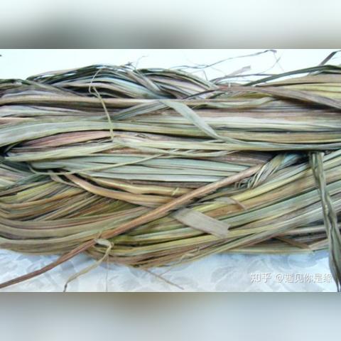 香茅醛/香茅醛有毒吗