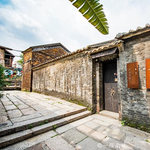 广东省佛山市绿植盆栽的长尾关键词有哪些