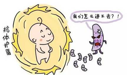 母乳有前奶和后奶之分
