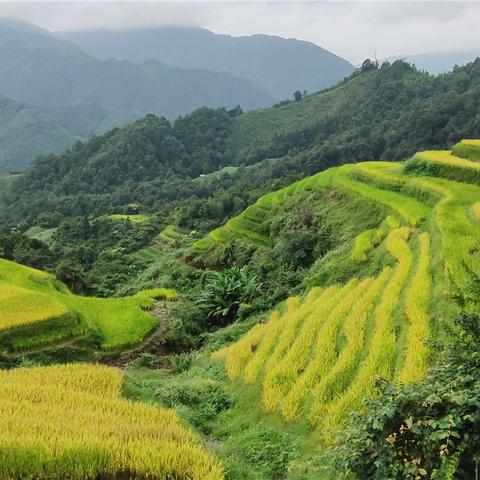 桂林市施家园路是哪个区