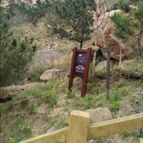 河南离山东最近的地方的相关长尾关键词有哪些