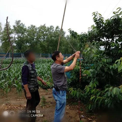 大连樱头圆的相关长尾关键词有哪些