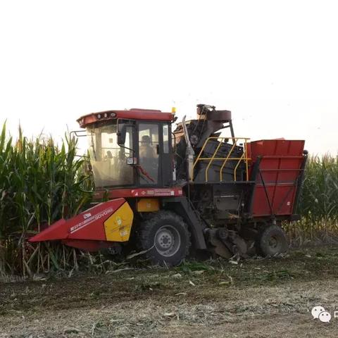 保定市哪里有苹果售后