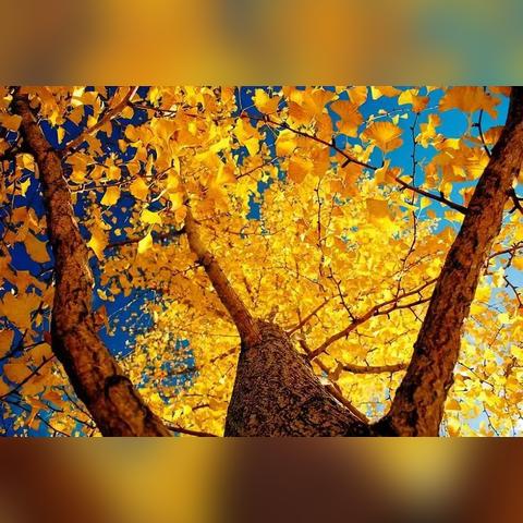 温州市水杉路水上乐园的长尾关键词有什么