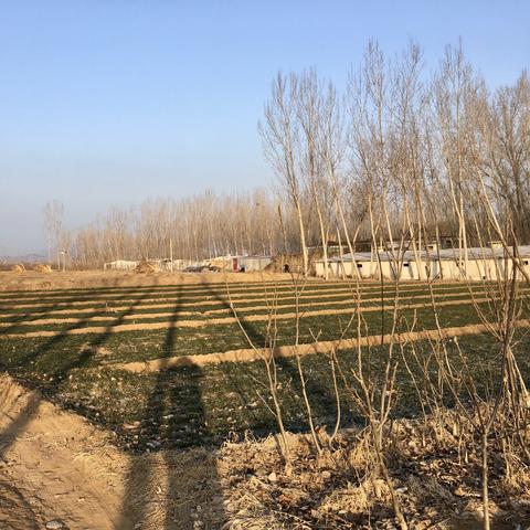 杭州市四季天气怎么样