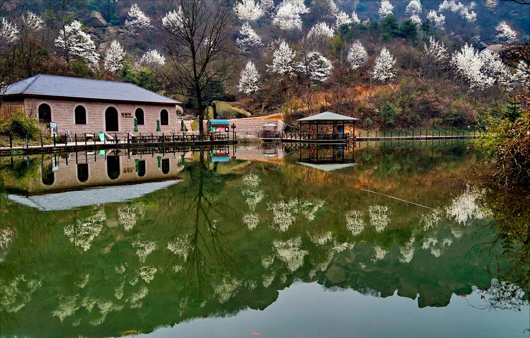 原神石与风怎么过（四大名著西游记中孙悟空和猪八戒谁认识的人最多）