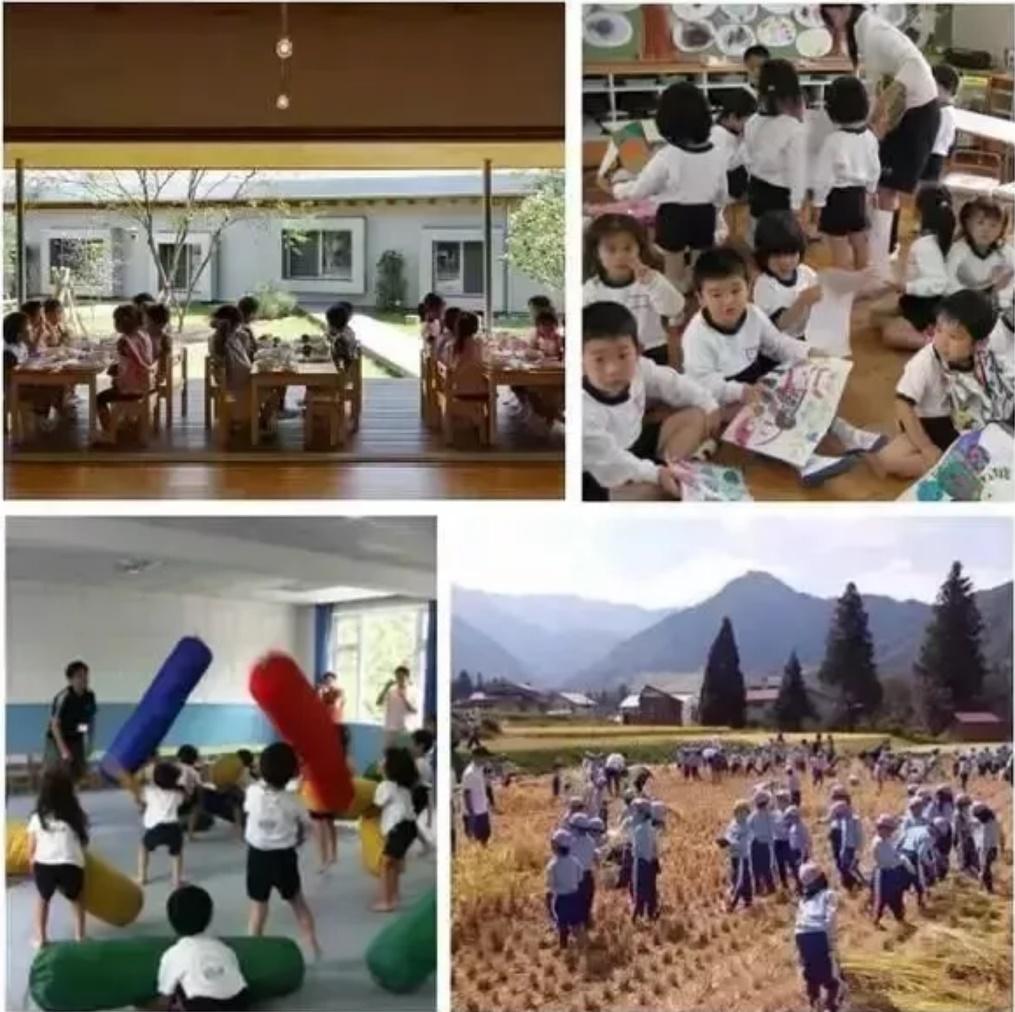 全国学前教育管理系统(幼教中心是什么机构)