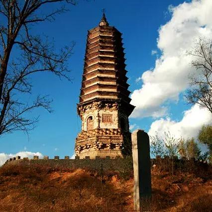 石家庄保定市多少人口