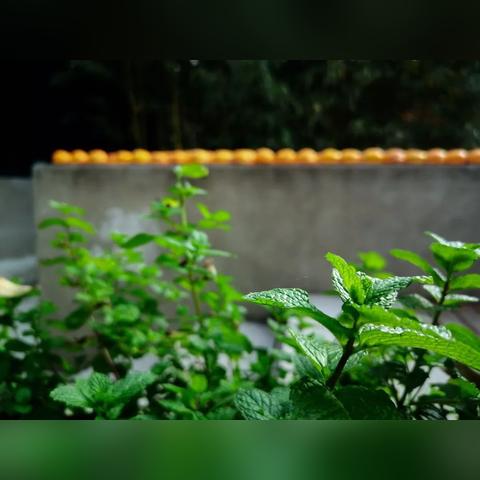 天津哪个小区地暖好一些