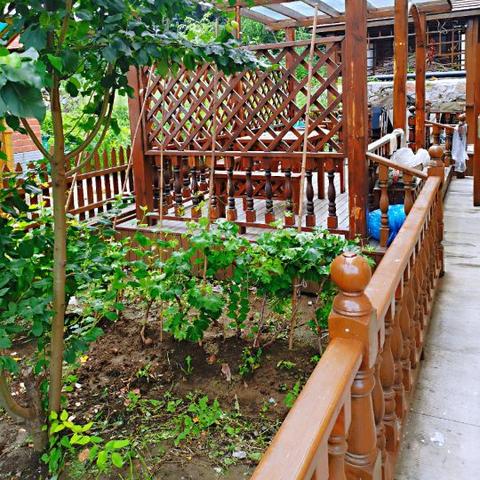 哈尔滨能过年的民宿相关长尾关键词有哪些