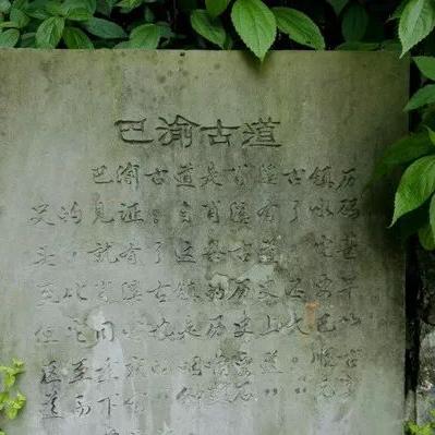 保定市定兴水上乐园的长尾关键词有哪些