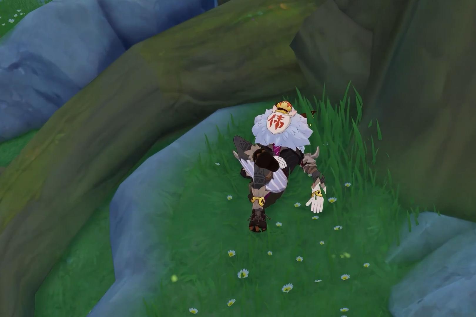 原神食谱怎么得到（原神怎么才能做荤兽任务）