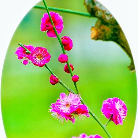 济南医学院怎么样相关长尾关键词有哪些