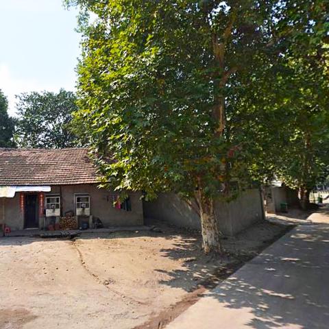 武汉地区蔬菜种植时间？