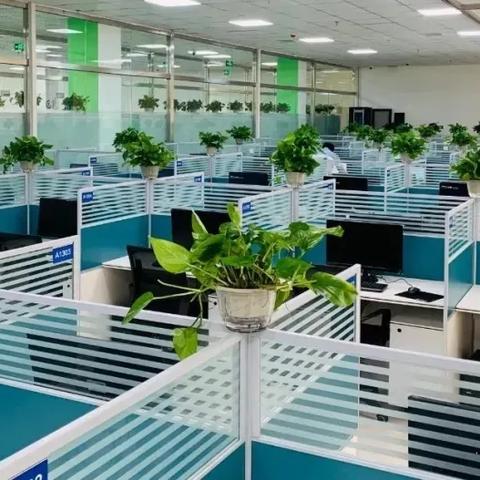 菏泽市就业介绍所在哪里