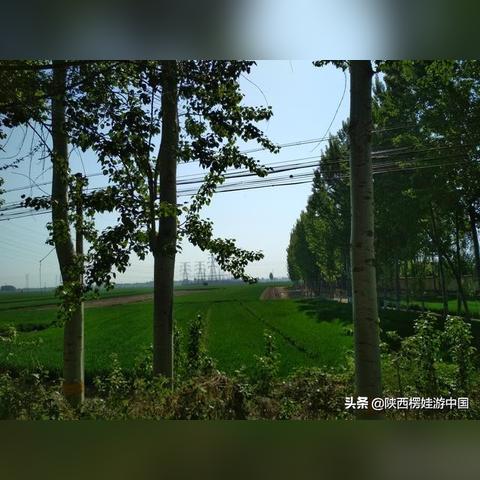 保定市至郑州多少公里