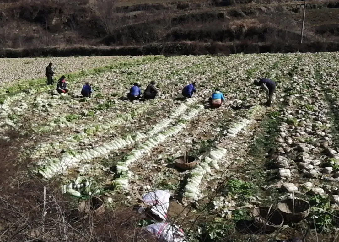 chatgpt已经有账号了怎么用 已经有的微店群在哪里加人