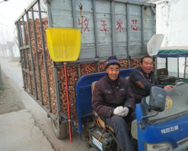农村怪生意，有人专收“玉米芯”，利润如何？粮贩：不比收粮差