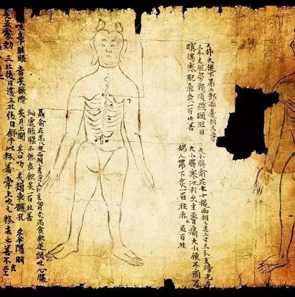 医药论文参考文献自动生成有哪些医学方面的电子书APP推荐