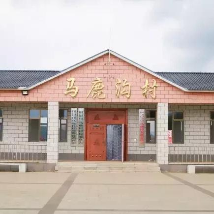 武汉市柳河村是哪个区