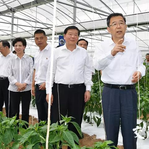 盘点张家港在上海哪里啊相关关键词有哪些