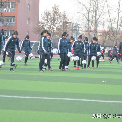 保定足球成人班多少钱