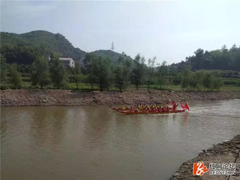 警惕!自助下单平台晓古数卡背后的虚假繁荣与法律雷区