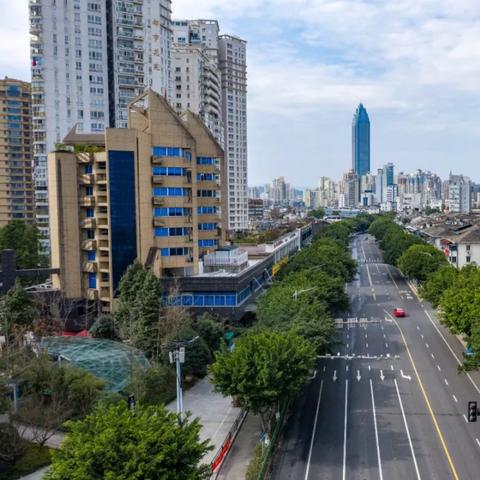 温州市疫情 在哪里查的长尾关键词有什么