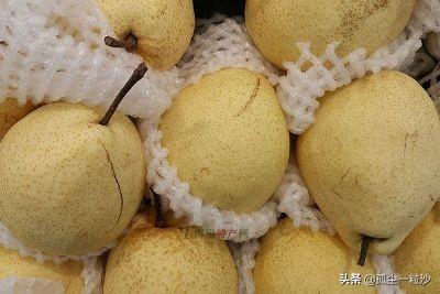 白梨能做什么美食（梨怎么炖才好呢）