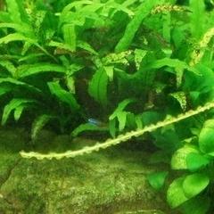 济南河沙水草相关长尾关键词有哪些