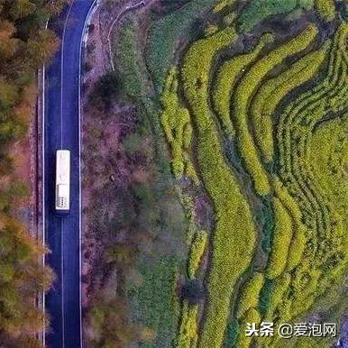 深圳市陈冲村是哪个区域