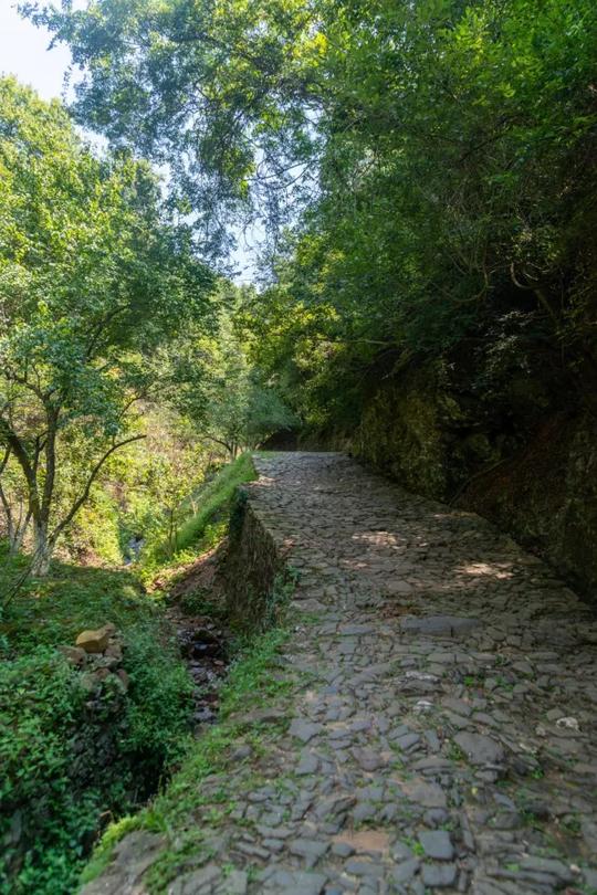 缠绕韶关山间的初秋古道，够野够独特，国庆假期一起去徒步吧！