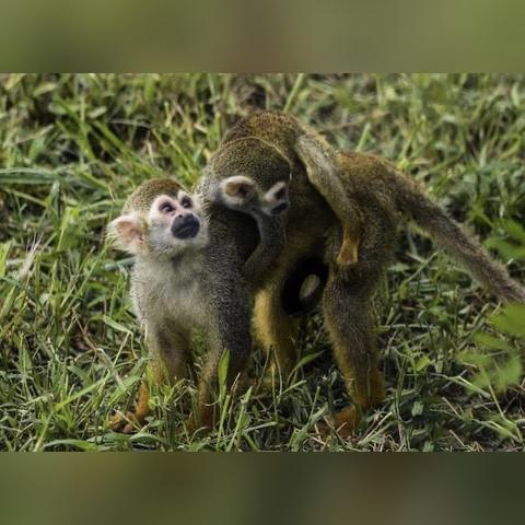 海边电影特辑免费观看的长尾关键词有哪些