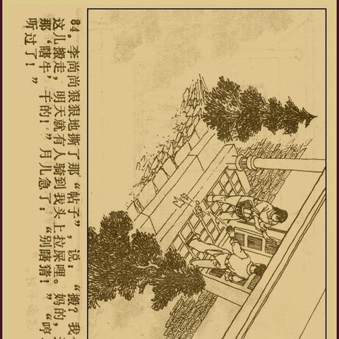 福建骆驼和广东骆驼的区别？