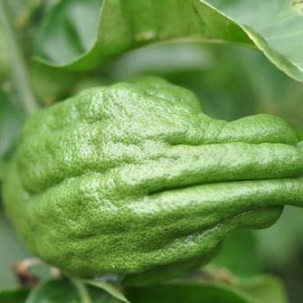 福建女孩统称什么