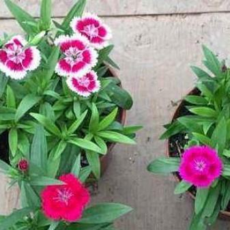 合肥市大豆种植面积多少