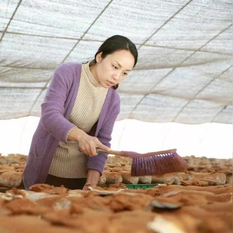 福建癌症的相关长尾关键词有哪些
