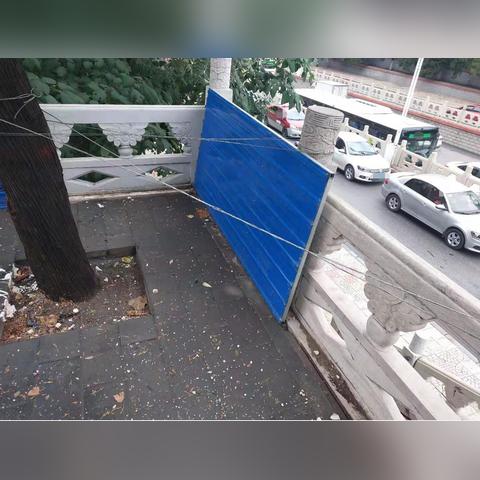 铁板鱿鱼保定市有卖吗多少钱