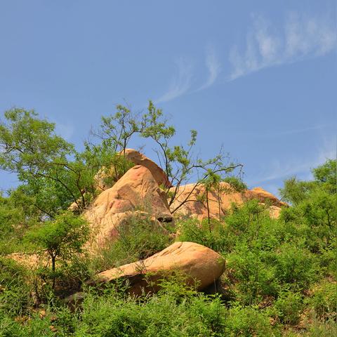 济南市南部山区哪里好玩