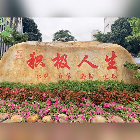 广州市石北中学多少分