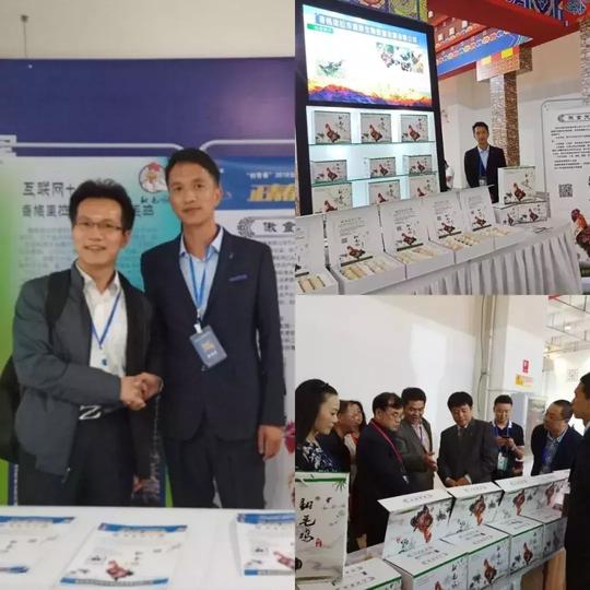 2018年农业创业大赛十佳农村网红一览！期待2019年新的十佳网红！