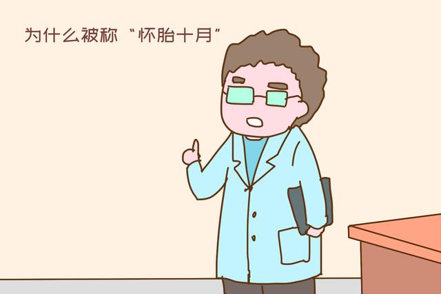 月经周期和怀孕有什么关系