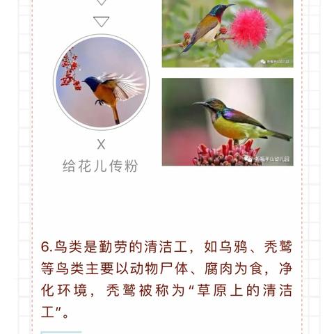 桂林市哪里有鸟场出租的