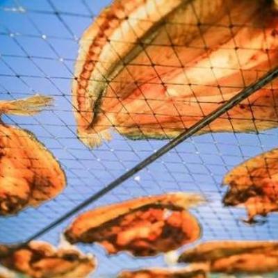 2019年温州市烟花点的长尾关键词有哪些