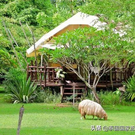 tiktok国际版泰国下载的相关长尾关键词有什么