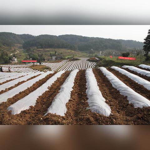 广州善烟相关长尾关键词有哪些