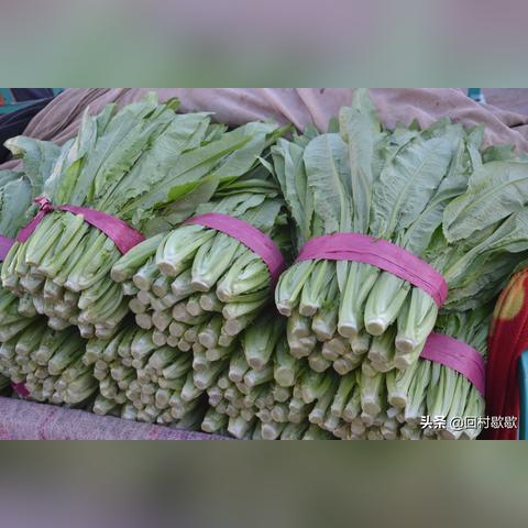 邯郸市村里捐赠蔬菜的长尾关键词有哪些