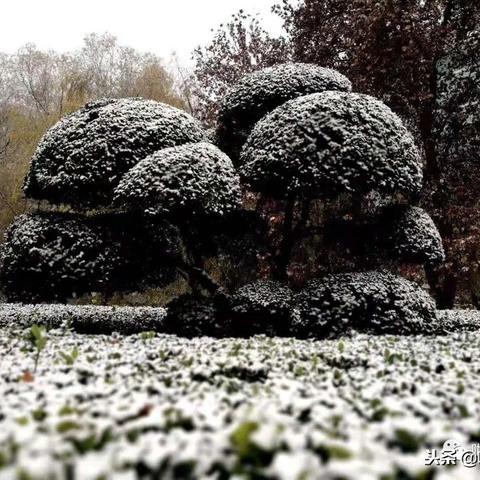 今天石家庄市哪里下雪了