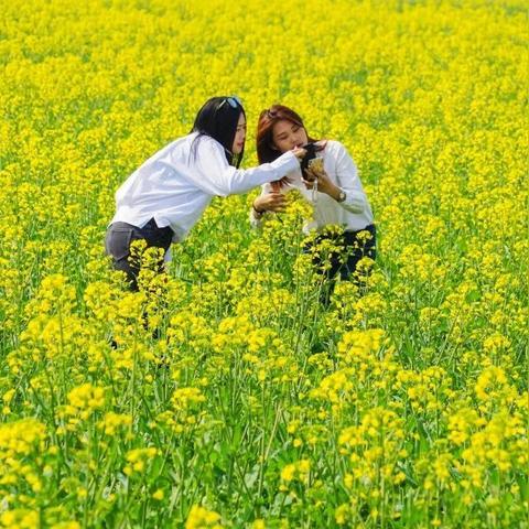 成都市带娃娃哪里好耍