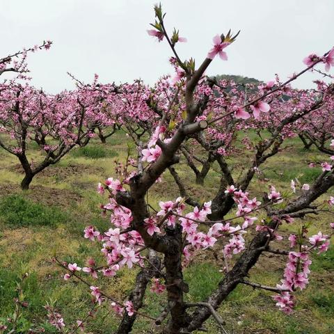 无锡市现在哪里花多少钱